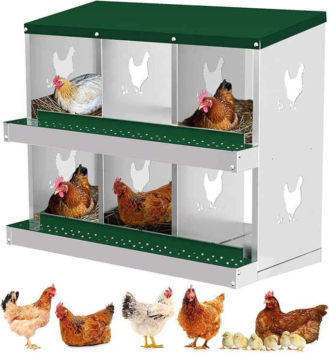 6 Compartments Chicken Nesting Box,Metal Chicken Egg Laying Box, Nesting Boxes,Easy Egg Collection, Easy Cleaning (Green)