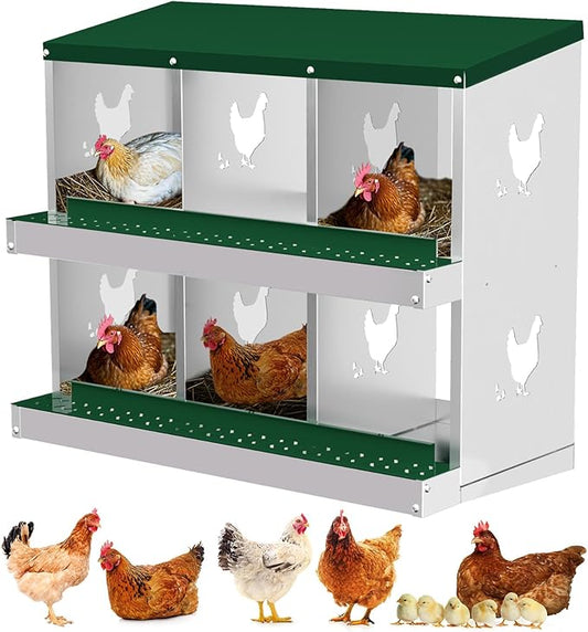 6 Compartments Chicken Nesting Box,Metal Chicken Egg Laying Box, Nesting Boxes,Easy Egg Collection, Easy Cleaning (Green)