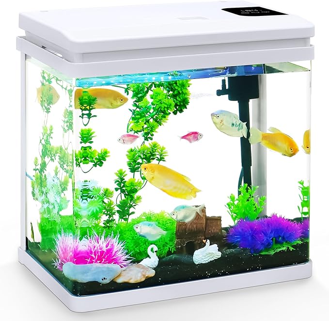 6 Gallon Fish Tank Kit with Auto On/Off Timer, 7-Color LED Light, Dimmable Brightness, Ultra Clear Glass & Effective Filtration – Great for Bettas