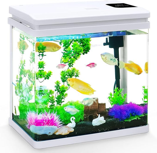 6 Gallon Fish Tank Kit with Auto On/Off Timer, 7-Color LED Light, Dimmable Brightness, Ultra Clear Glass & Effective Filtration – Great for Bettas