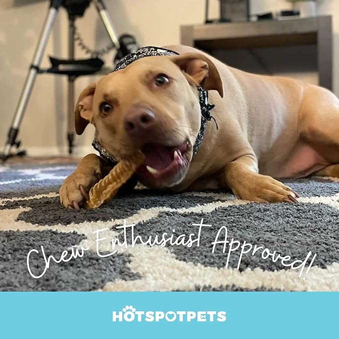 hotspot pets Premium Beef Trachea for Dogs 6" Strips Split - (40 Pack) All Natural Grass-Fed Beef Dog Chews, Rich in Glucosamine Chondroitin for Joint Health, Single Ingredient No Rawhide Dog Treats