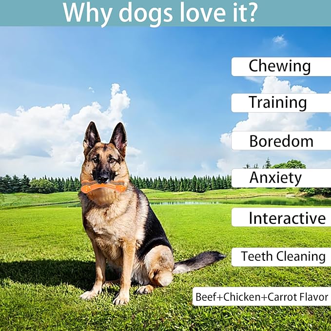 Real Beef Flavor Dog Chew Toys - Indestructible Teething Toys for Large/Medium/Small Breeds, 3 Pack Tough Nylon Dog Toy