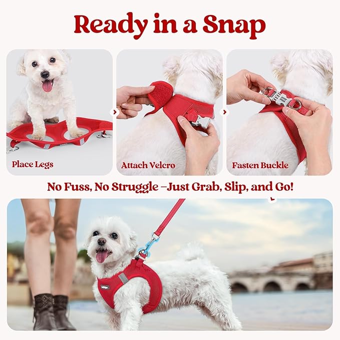 rabbitgoo Dog Harness Small Sized and Leash Set, Step in Soft Light Puppy Vest, Breathable Mesh Pet Harness, Reflective for Outdoor Safe Walking, Red XXXS