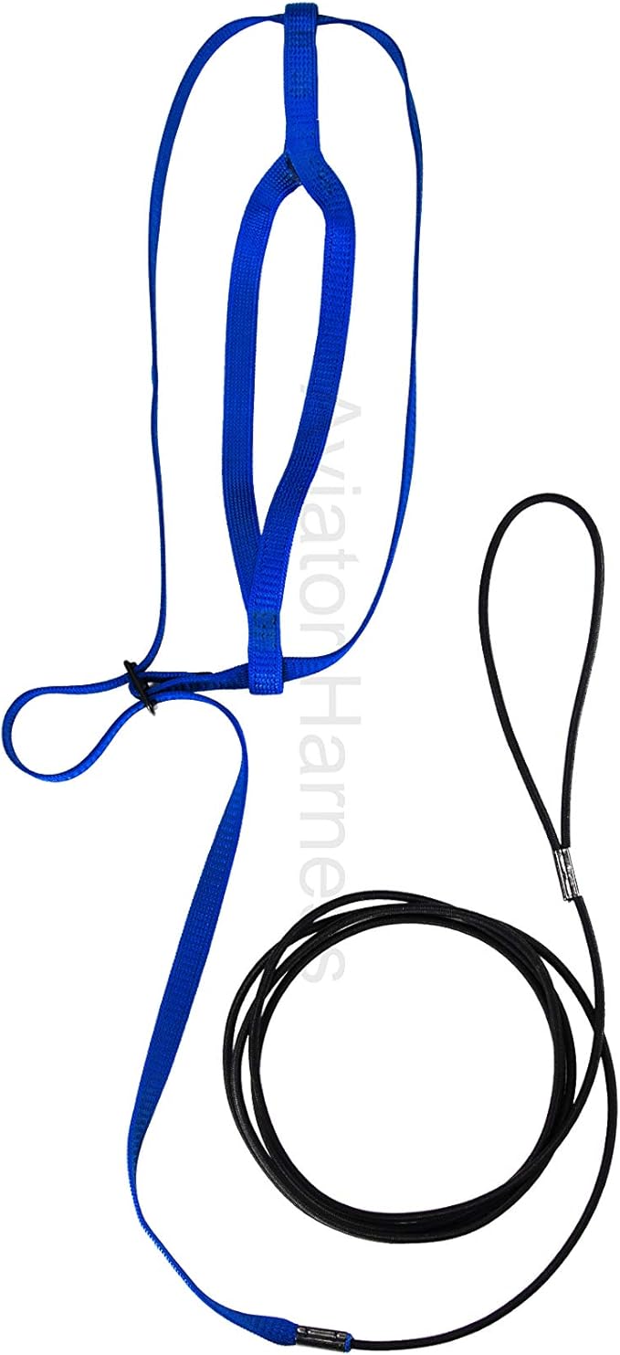 The AVIATOR Pet Bird Harness and Leash: X-Large Blue