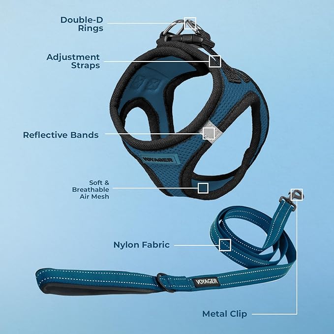 Voyager Step-in Air All Weather Mesh Harness and Reflective Dog 5 ft Leash Combo with Neoprene Handle, for Small, Medium and Large Breed Puppies by Best Pet Supplies - Blue/Black Trim, Large