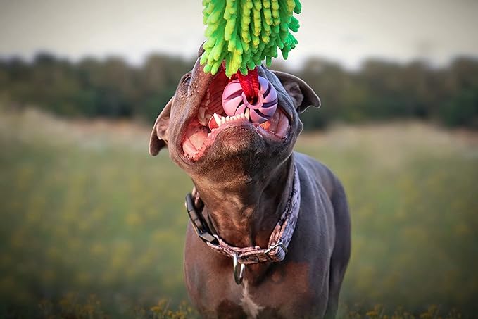 Dingo Dog tug of war toy for outdoor play traning agility,cuddly and shaggy plush tug toy for motivation and fun, soft nubby-textured noodle plush with bungee shock absorber and rubber ball green15589