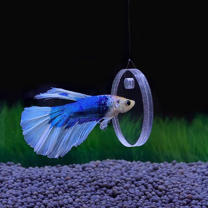 1 Set Clear Betta Training Mirror Fish for Tank Fish Antidepressant Work Out Special for Betta Fitness Mirror Aquarium Decor Floating (5cm)