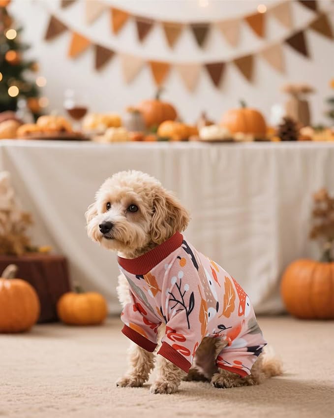 PET SHOW 4 Pack Fall Small Dog Pajamas Thanksgiving Clothes Doggies Girl Boy Soft Stretchy PJs Autumn Jumpsuit Puppy Cats Onesies Outfits with Sleeve Pets Dachshund Costume M