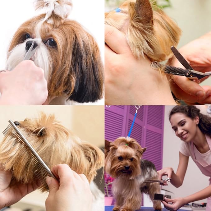 Dog Grooming Kit with Round Tip, 6 in 1 Cat Dog Grooming Scissors, Stainless Steel Pet Grooming Shears for Full Body, Face, Nose, Ear and Paw (pink)