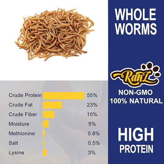 RANZ 2LBS Non-GMO Dried Mealworms for Chickens, High Protein Meal Worms, Premium Chicken Feed, Whole Large Mealworms for Blue Birds, Ducks, Fish