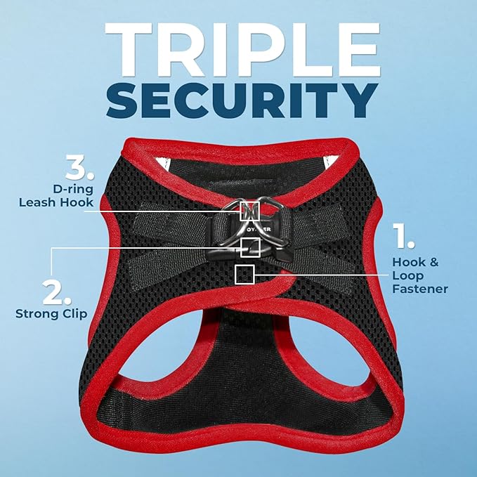 Voyager Step-in Air All Weather Mesh Harness and Reflective Dog 5 ft Leash Combo with Neoprene Handle, for Small, Medium and Large Breed Puppies by Best Pet Supplies - Red Trim, M
