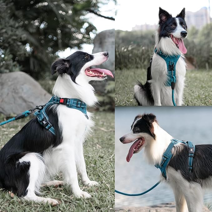PoyPet No Pull Dog Harness and 5 Feet Leash Set, Release on Neck Reflective Adjustable Pet Vest, Front & Back 2 D-Ring and Soft Padded Pet Harness with Handle for Small to Large Dogs(Tumalo Teal,S)