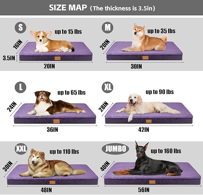 Patas Lague Orthopedic Dog Bed for Small Dogs 20''X15'', Soft Waterproof Egg Crate Foam Small Pet Crate Beds Mat with Removable Washable Cover and Non-Slip Bottom, Purple