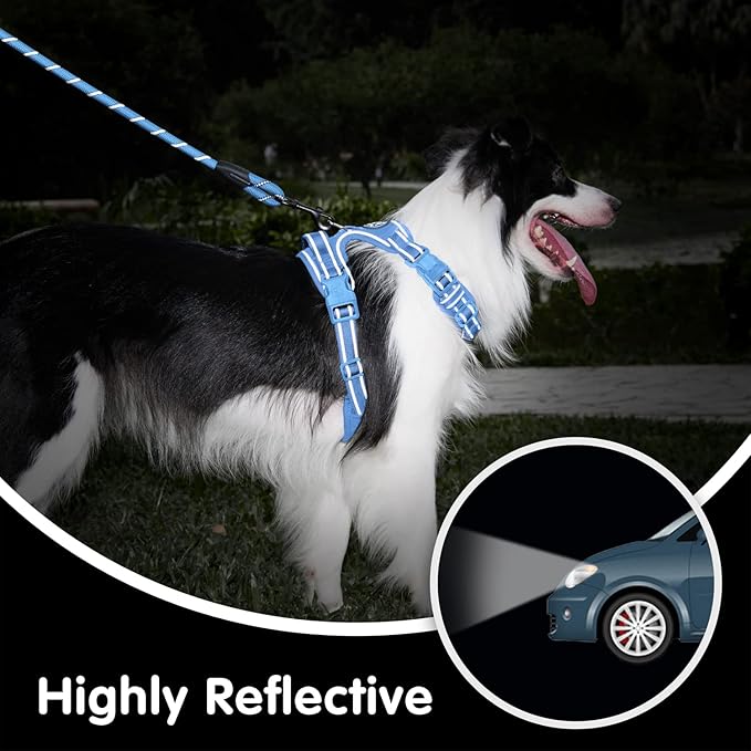 PoyPet No Pull Dog Harness and 5 Feet Leash Set, Release on Neck Reflective Adjustable Pet Vest, Front & Back 2 D-Ring and Soft Padded Pet Harness with Handle for Small to Large Dogs(Light Blue,XL)