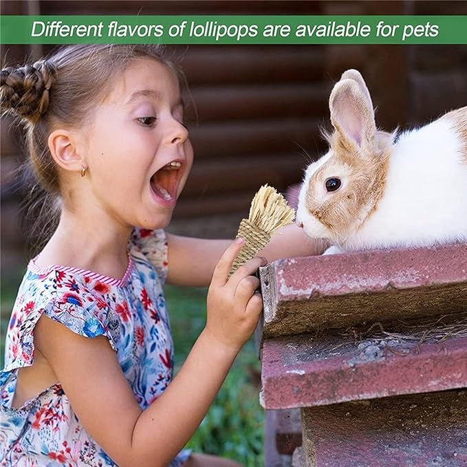 Rabbit Chew Toys for Teeth, Natural Wood Sticks Timothy Grass Chew Bunny Treat Toys for Rabbit Guinea Pig Hamster Chinchilla Gerbil