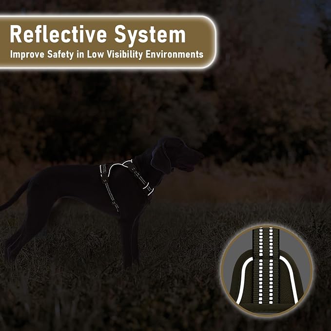 No-Pull Adjustable Dog Harness for Small Dogs, Easy Control with Handle, Havanese Chihuahua Puggle, Inescapable, Ez Walking, with Safe Reflective Strips, No Rub, No Choke, Army Green, S
