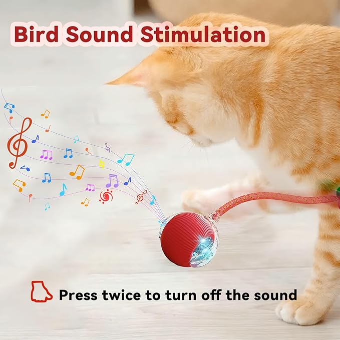 Interactive Cat Toys for Indoor Cats, Automatic Cat Toy with Elastic Mesh Tail, Electric Rolling Ball on Carpet, Chirping and Motion Activate Cat (Green)