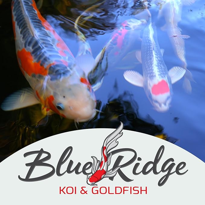 Blue Ridge Koi Fish Food 5lb - Koi Food 3/16” Large and Mini Blend Growth Formula, Goldfish Food, Premium Fish Food for Ponds, Ponds Fish Food, Floating Pond Pellets