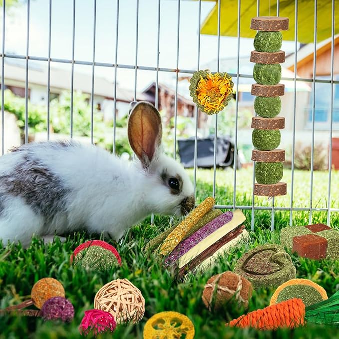 Rabbit & Guinea Pig Toys - Natural Timothy Hay & Apple Wood Sticks for Teeth Care - Handmade for Hamster, Bunny, Chinchilla (27 Pcs)