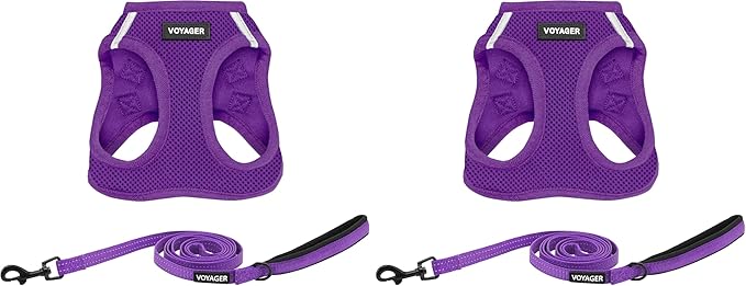 Voyager Step-in Air All Weather Mesh Harness and Reflective Dog 5 ft Leash Combo with Neoprene Handle, for Small, Medium and Large Breed Puppies and Cats by Best Pet Supplies - Purple, XXXS