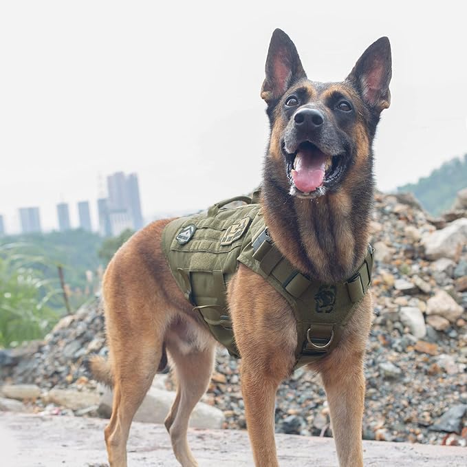 OneTigris Large Tactical Dog Harness, No Pulling Adjustable Dog Vest Harness, Heavy Duty X Destroyer Dog Harness with Handle, Large Hook and Loop Panels for Patch