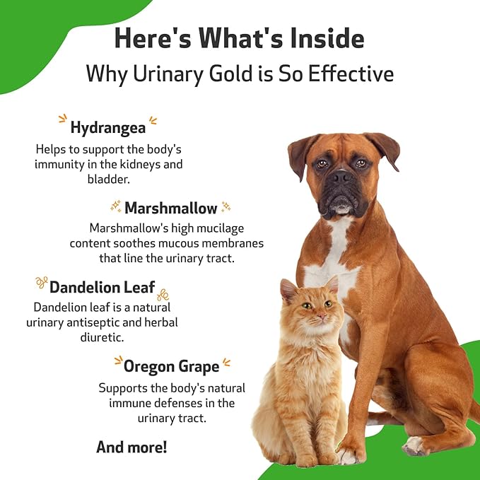 Pet Wellbeing Urinary Gold for Dogs - Vet-Formulated Multi-Herb Urinary Tract Support - Bladder Health & Urinary System Wellness - Holistic Dog Supplement - Liquid Formula 4 oz (118 ml)