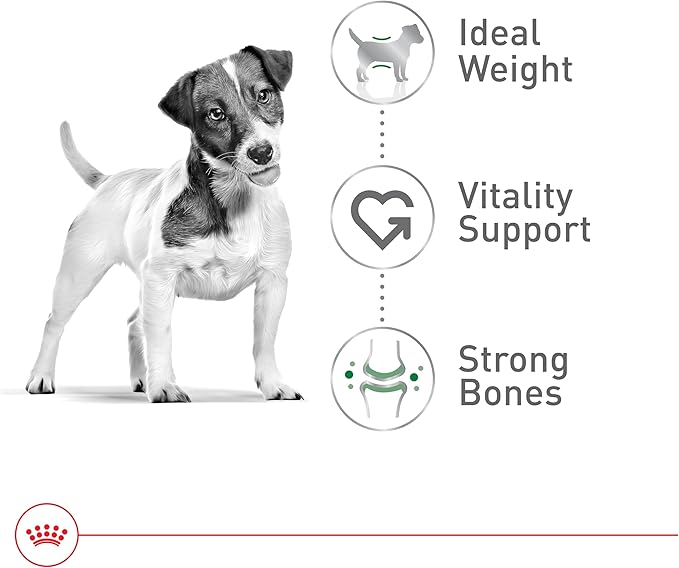 Royal Canin Size Health Nutrition Small 8+ Senior Dry Dog Food, 2.5 lb Bag