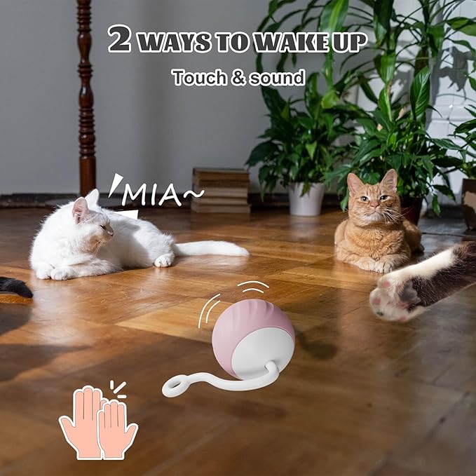 Cat Toy, Interactive Cat Toys for Indoor Cats, DIY 5 in 1 Automatic Moving Cat Ball Toys/Puppies Toys with LED Rainbow Lights, Two Speeds Smart Cat Toys,USB Rechargeable (Pink)