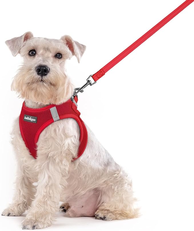 rabbitgoo Dog Harness Small Sized and Leash Set, Step in Soft Light Puppy Vest, Breathable Mesh Pet Harness, Reflective for Outdoor Safe Walking, Red XXL