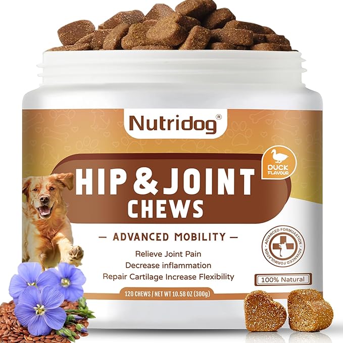 Hip and Joint Supplement for Dogs with Glucosamine, Chondroitin & MSM - Duck Flavor Joint Care Chews, 120 Count - Advanced Mobility Support - Senior Dog Approved (Duck)