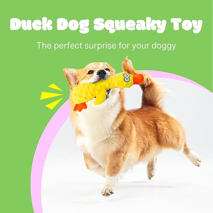 Dog Squeaky Toy Duck - 2 Packs, Durable Plush Toys for Large Dogs, Interactive Play, Sturdy, Soft, and Crinkly, Ideal for Small to Large Dogs (Purple & Green)