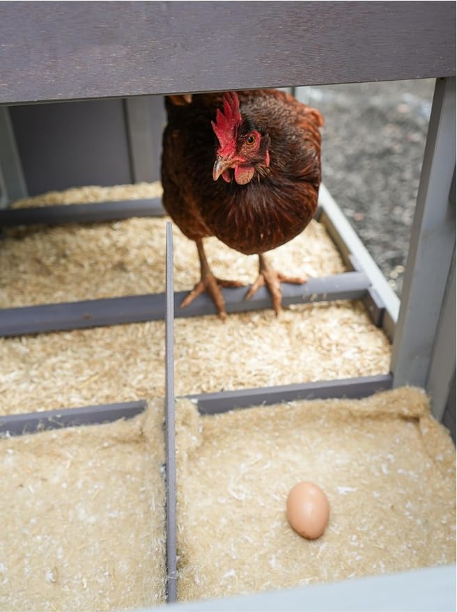 All Walks 70L Coop Combo Hemp Pet Bedding & Chicken Nesting Mats - 100% Natural Hemp Small Animal Bedding and Cushioned Pads for Hen Nesting Box - Chicken Coop Accessories for Laying Eggs - USA Made