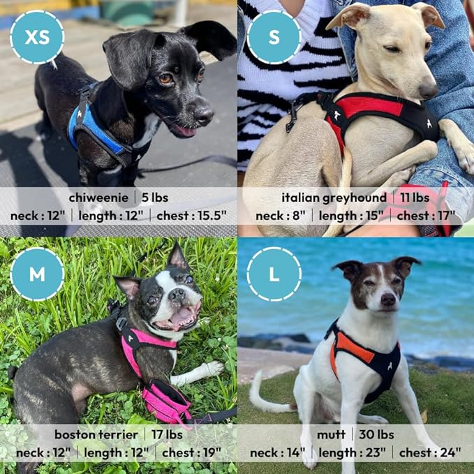 Gooby Escape Free Easy Fit Harness - Blue, X-Small - No Pull Step-in Patented Small Dog Harness with Quick Release Buckle - Perfect On The Go No Pull Harness for Small Dogs or Medium Dog Harness