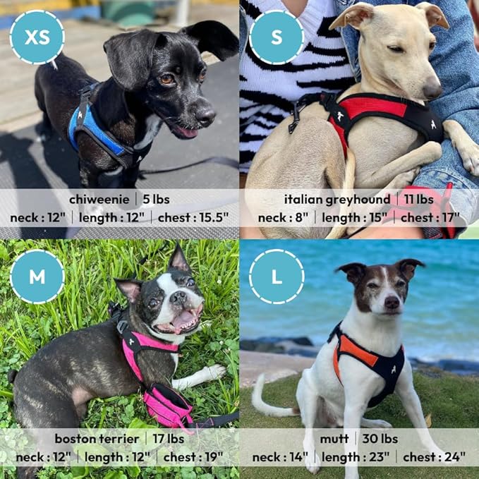 Gooby Escape Free Easy Fit Harness - Hot Pink, Large - No Pull Step-in Patented Small Dog Harness with Quick Release Buckle - Perfect On The Go No Pull Harness for Small Dogs or Medium Dog Harness