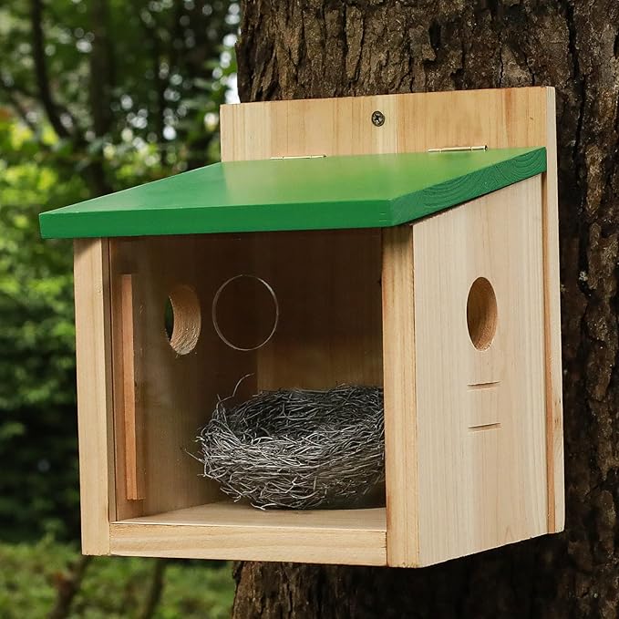 STARSWR Bird House Large Bluebird House Feeder Outdoor Mealworms Feeder for Bluebird with Viewing Window,with Easy Clean Removable Door Outside Hanging Birdhouses
