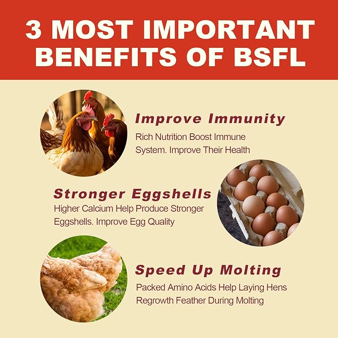 22LB Dried Black Solider Fly Larvae, BSFL is High Protein Chicken Feed with 85x More Calcium Than Dried Mealworms, Poultry Treats, Chickens Love, Birds Love, Hens Love, Ducks Love