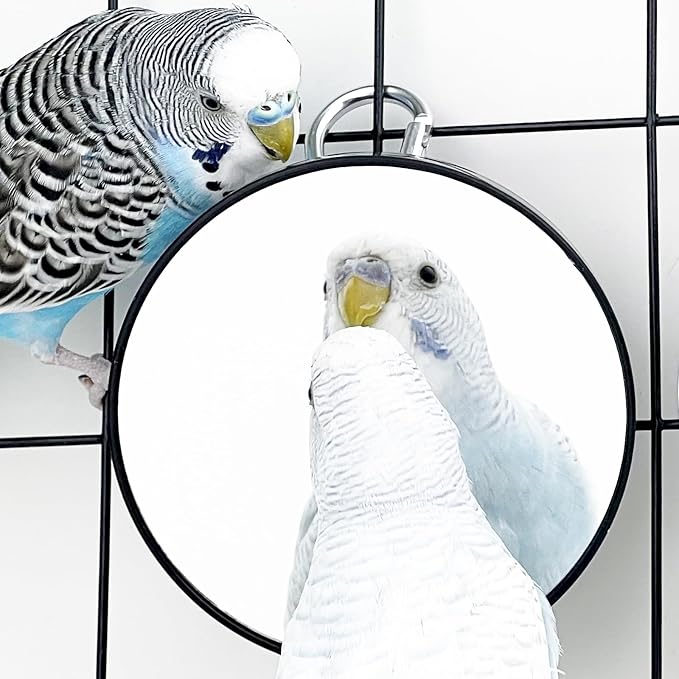 FlidRunest 2PCS Bird Mirror Toy for Cage, 10X Bird Parrot Interactive Playing Cage Toy with Hook, Parrot Toy Bird Cage Mirror for Cockatiel, Parakeets, Lovebirds, Finch, Canaries, Budgie