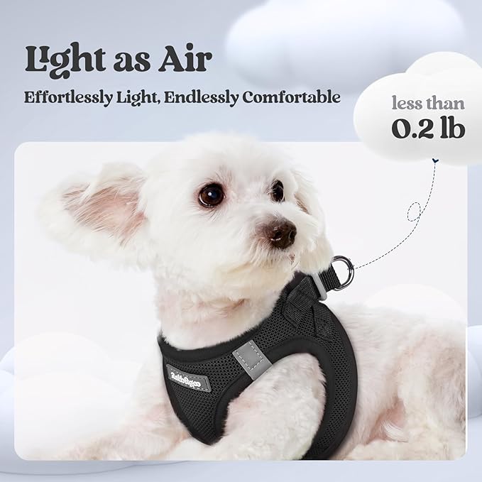 rabbitgoo Dog Harness Small Sized and Leash Set, Step in Soft Light Puppy Vest, Breathable Mesh Pet Harness, Reflective for Outdoor Safe Walking, Black XXL