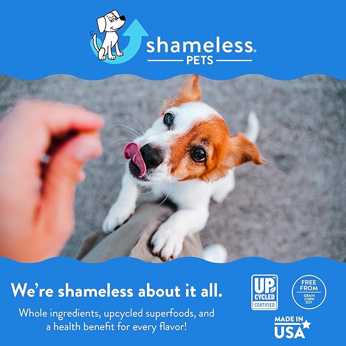Shameless Pets Soft-Baked Dog Treats, Break an Egg - Natural & Healthy Dog Chews for Strong Bones Support with Calcium - Dog Biscuits Baked & Made in USA, Free from Grain, Corn & Soy - 1-Pack