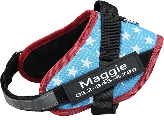 HOTGOL Custom No Pull Dog Harness with Personalize Name and Phone Number Tag,Reflective Breathable Adjustable Pet Vest for Small to Large Dogs