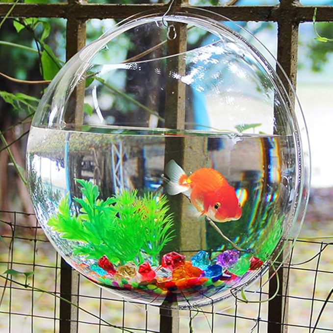 Mipcase Transparent Creative Wall Mounted Acrylic Fish Bowl Hanging Aquarium for Home Decor Ideal for Fish Aquatic Plants Stylish Wall Tank Decoration