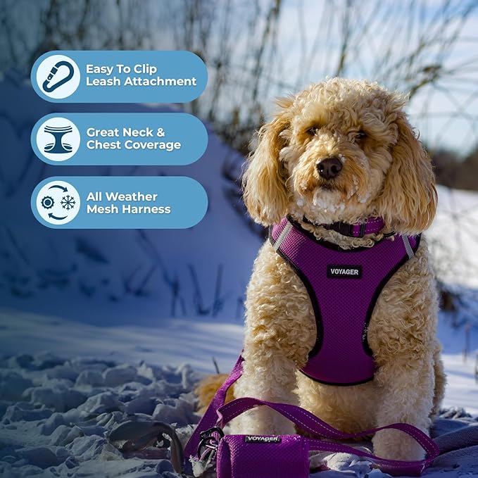 Voyager Step-in Air All Weather Mesh Harness and Reflective Dog 5 ft Leash Combo with Neoprene Handle, for Small, Medium and Large Breed Puppies by Best Pet Supplies - Purple/Black Trim, XX-Small