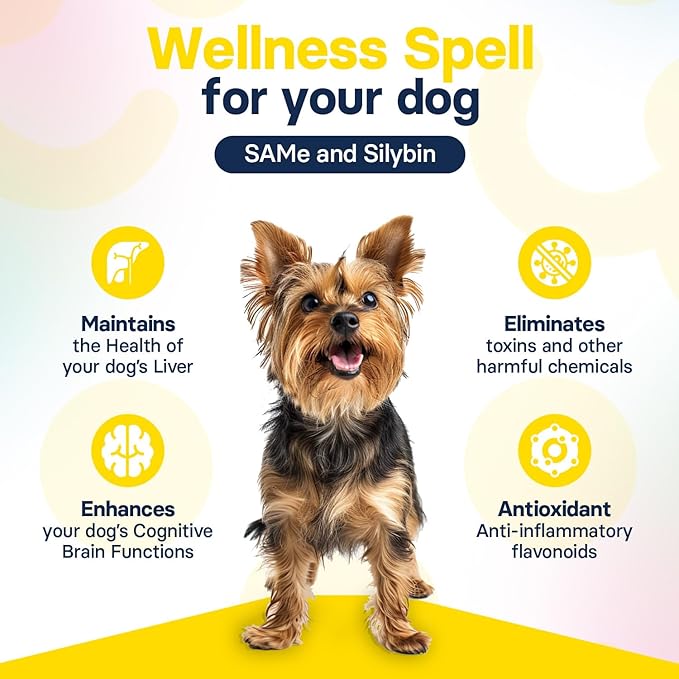 Liver Health Supplement for Small Dogs - Milk Thistle for Dogs Liver Support with S-Adenosylmethionine (Same) & Silybin - 30 Tablets
