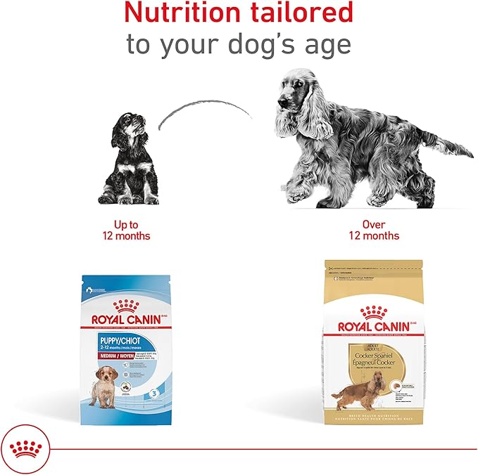 Royal Canin Cocker Spaniel Adult Dry Dog Food, 25 lb bag