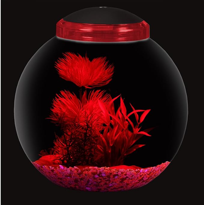 Koller Products 3-Gallon Globe Fish Bowl, Impact- Resistant Plastic Fish Tank with LED Lighting, Crystal-Clear Clarity, Desktop Aquarium Tank for Betta Nano Goldfish Peacockfish Zebrafish, Home Décor