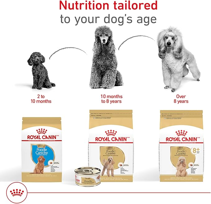 Royal Canin Poodle Adult Breed Specific Dry Dog Food, 2.5 lb bag
