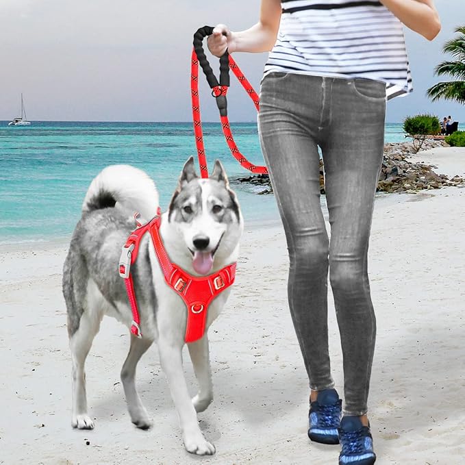 BARKBAY No Pull Dog Harness Large Reflective Dog Harness with Front Clip and Easy Control Handle for Walking Training Running with ID tag Pocket(Red,S)