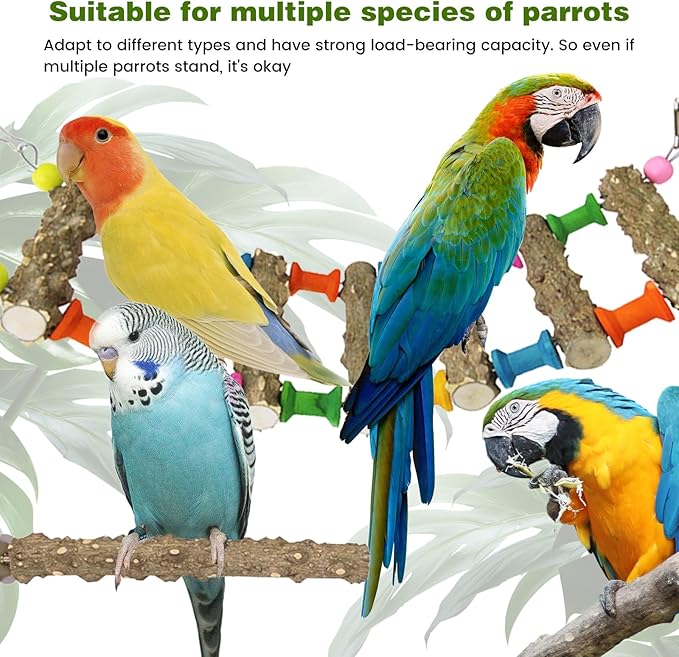 4-Piece Natural Wood Bird Cage Perch Set: Rotating Perch, Swing & Ladder Perfect for Parrots, Parakeets, Cockatiels, Lovebirds, Conures, Budgies, Quakers, and All Small to Medium Birds