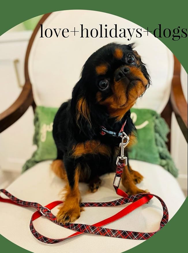 Lucky Love Dog - Easy Click Buckle Dog Collar with Leash Set Combo, Durable & Comfortable for Male & Female Dogs, Pet Collar for Small to Large Dogs, Secure Fit - Heywood Combo, XL