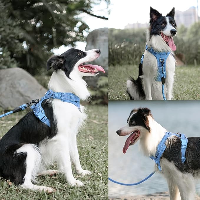 PoyPet No Pull Dog Harness and 5 Feet Leash Set, Release on Neck Reflective Adjustable Pet Vest, Front & Back 2 D-Ring and Soft Padded Pet Harness with Handle for Small to Large Dogs(Light Blue,XL)